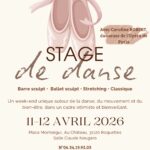 Stage de danse avec une danseuse de l'Opéra de Paris