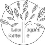 [Médiathèque] Atelier balade et DIY cosmétique à base de plantes