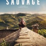 Cinéma - Sauvage
